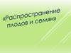 Распространение плодов и семян