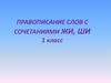 Правописание слов с сочетаниями ЖИ, ШИ. 1 класс