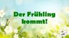 Der Frühling kommt!