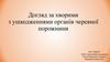 Ушкодження черевної порожнини. Догляд за хворими