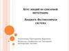 Курс лекций по сенсорной интеграции. Лекция 6. Вестибулярная система