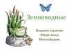 Земноводные. Внешнее строение. Образ жизни. Многообразие