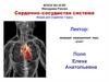 Сердечно–сосудистая система человека
