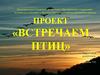 Встречаем птиц