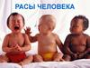 Расы человека