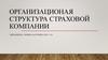 Организационная структура страховой компании