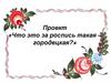Что это за роспись такая – городецкая?