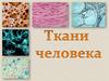 Ткани человека