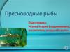 Пресноводные рыбы. Нетрадиционная техника аппликации с крупой «Аквариум с рыбками»