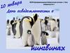 День осведомленности о пингвинах