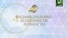 Индивидуальные особенности личности. Лекция 4