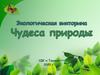 Экологическая викторина. Чудеса природы