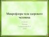 Микрофлора тела здорового человека
