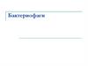 Бактериофаги