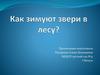 Как зимуют в лесу звери
