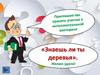 «Знаешь ли ты деревья»