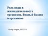 Роль воды в жизнедеятельности организма