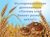 Исследовательская деятельность "Почему хлеб бывает разного цвета?"