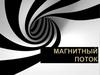 Магнитный поток
