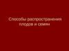 Распространение плодов  и семян