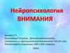Нейропсихология внимания