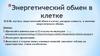 Энергетический обмен в клетке