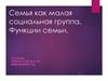 Семья как малая социальная группа. Функции семьи. Основа семьи