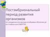Постэмбриональный период развития организмов
