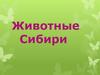Животные Сибири