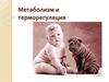 Метаболизм и терморегуляция