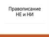 Правописание НЕ и НИ. НЕ с существительными