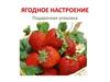 Ягодное настроение