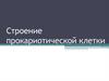 Строение прокариотической клетки