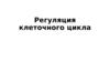 Регуляция клеточного цикла