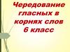 Чередование гласных в корнях слов (6 класс)
