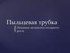 Лекция 11. Пыльцевая трубка. Основные механизмы полярного роста