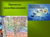 Процессы видообразования (9 класс)