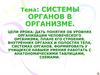 Системы органов в организме