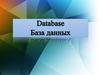 База данных