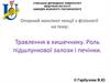 Травлення в кишечнику. Роль підшлункової залози і печінки. Лекция 8