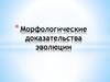 Морфологические доказательства эволюции