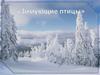 Зимующие птицы