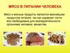 Мясо в питании человека