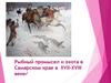 Рыбный промысел и охота в Самарском крае в XVII-XVIII веке