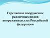 Стрелковое вооружение различных видов вооруженных сил Российской федерации