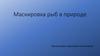 Маскировка рыб в природе