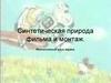 Синтетическая природа фильма и монтаж