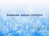 Зимние виды спорта. На льду танцует наш артист