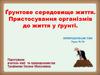 Ґрунтове середовище життя. Пристосування організмів до життя у ґрунті