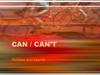 Can / can’t